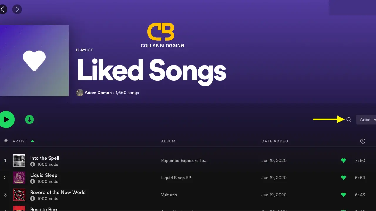 liked songs in the spotify playlist